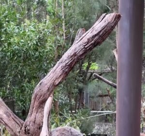 Explore Australia Tours I Food & Wine Tours I Sightseeing Tours Travel in Melbourne