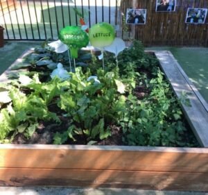 Goodstart Early Learning Point Cook - The Strand Child Care in Point Cook