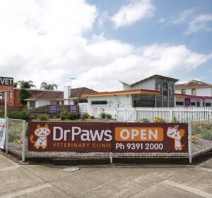 Dr Paws Altona North Veterinary Clinic Pet care service in Altona North
