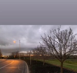 Essendon Ford Car dealer in Essendon Fields