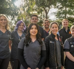  Melba Veterinary Clinic