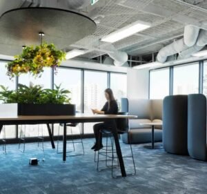 Amicus Movers & Packers in Melbourne