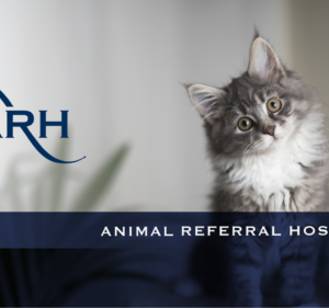 Veterinary Clinics in Victoria Australia Animal Referral Hospital - Essendon Fields