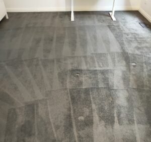 Green Melbourne Carpet Cleaning Cleaning service in Burwood East