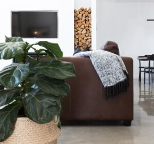 Property Management in South Yarra Australia Living Melbourne Property