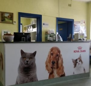 West Footscray Veterinary Clinic Pet care service in West Footscray