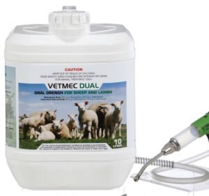 Veterinary Clinics in Melbourne Australia Chemvet Australia Pty Ltd
