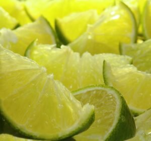 Advertising and Marketing in Point Cook Australia Lime Virtual Studio