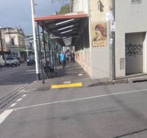 Flowers by Tribal Rose Florist in Fitzroy