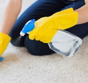 Carpet Cleaning Services in Victoria Australia Carpet Stain Remover