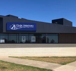 Veterinary Clinics in Victoria Australia Clyde Veterinary Hospital