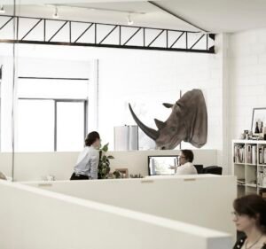  WhiteRhino Creative Pty Ltd