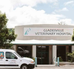 Veterinary Clinics in Victoria Australia Gladesville Veterinary Hospital