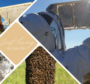Pest Control Services in Melbourne Australia Melbourne Bee Remover