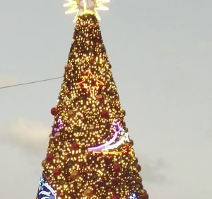 Waterside Pavilion Event venue in Hobart