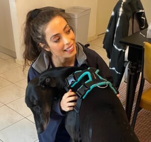 Project Underdog Mobile Vet Pet care service in Coburg