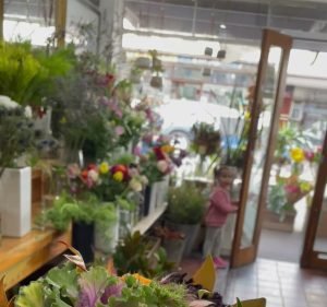 Florists in Victoria Australia Flowers of Canterbury
