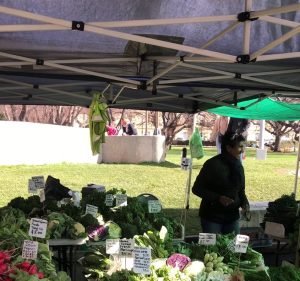 Salamanca Market in Hobart