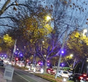 Probuild in Melbourne