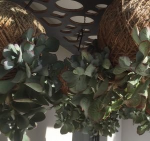 Gardening and Landscaping Services in Melbourne Australia Spencer Garden Design & Horticultral Services