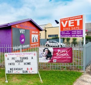  Fulham Gardens Animal Hospital - Pets and their People