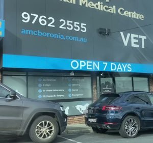 Animal Medical Centre Pet care service in Boronia