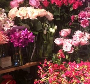 Florists in Victoria Australia Monstera Flowers