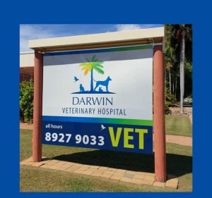 Darwin Veterinary Hospital Pet care service in Casuarina