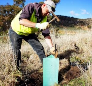 Non-profit Organizations in Victoria Australia Conservation Volunteers Australia