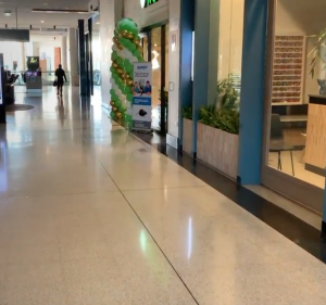 Sydney Side Pest Control Campbelltown Pest control service in Campbelltown