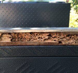 Pest Control Services in Melbourne Australia Noah's Ark Pest Control - Termite Treatment and Inspection Services - South Yarra