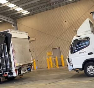 Tasman Logistics Services Transport in Brooklyn