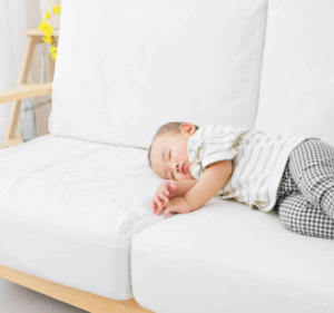 Carpet Cleaning Services in Melbourne Australia The Squeaky Clean Team