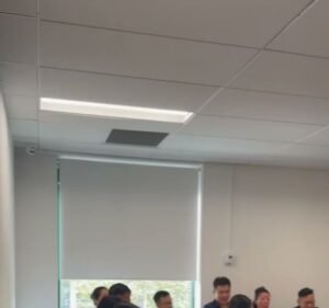 Blue Lotus College Business development service in Melbourne