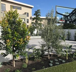 Landscape Constructions Landscaping in Osborne Park