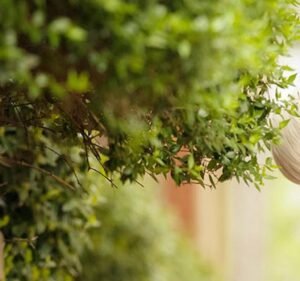 Real Estate Agencies in Melbourne Australia BuyerX