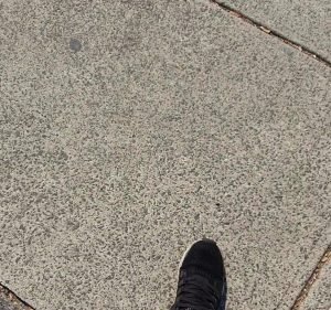 Barkly Backpackers Hostel in St Kilda