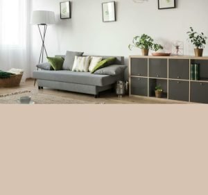 SJV Commercial Cleaning Cleaning service in Adelaide