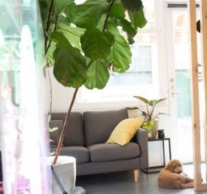 Graphic Design Services in Melbourne Australia Your Creative