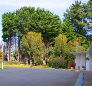 Hotels and Accommodations in Victoria Australia Terang Motor Inn