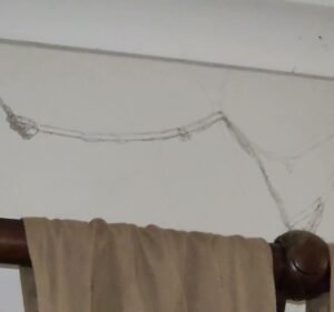 Xynergy Realty South Yarra Real Estate in South Yarra