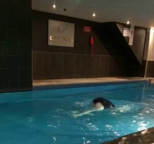 Oaks Melbourne on Market Hotel Hotel in Melbourne