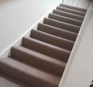 Carpet Cleaning Services in South Yarra Australia Happymoose Carpet & upholstery cleaning