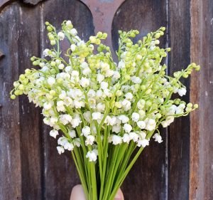 The Flower Room Florist in Newtown