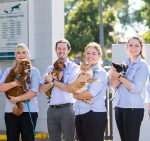 Veterinary Clinics in Melbourne Australia Vets in Endeavour Hills