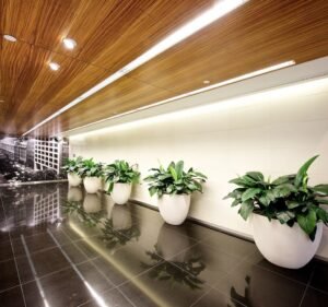 Ivy Constructions Australia Pty Ltd Building & Construction in Collingwood