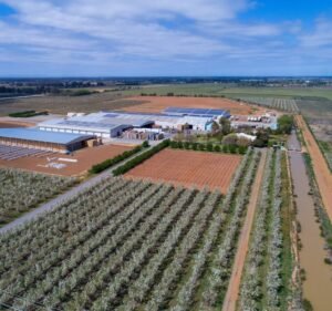 Renewable Energy Services in Melbourne Australia Energis