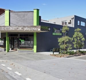 Veterinary Clinics in Melbourne Australia Toorak Rd Veterinary Clinic