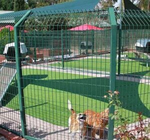 Cottage Kennels and Cattery Pet care service in Plenty