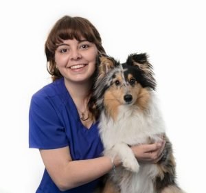 Tasmanian Veterinary Hospitals Pet care service in Bellerive